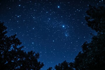 Starry night sky framed by trees with a vibrant celestial display