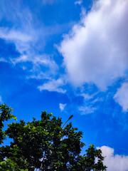 Fototapeta premium sky and trees