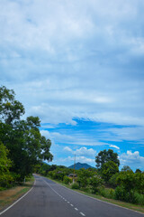 Naklejka premium Beautiful landscape with green trees and blue sky