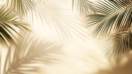 Obraz premium Palm leaves shadows on beige background.