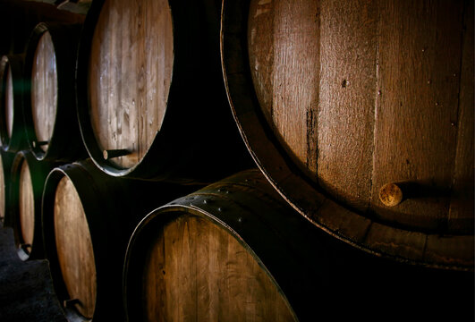 wooden barrels in the wine cellar