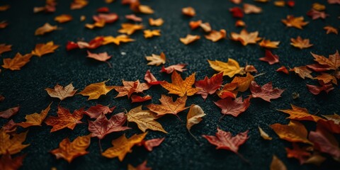 Autumn leaves scattered on dark asphalt, a seasonal landscape image
