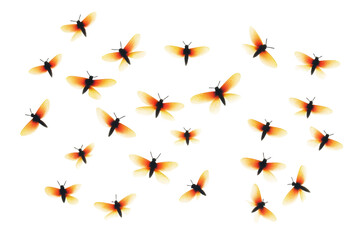 Fototapeta premium Beautiful Fireflies Isolated on a transparent Background for Design