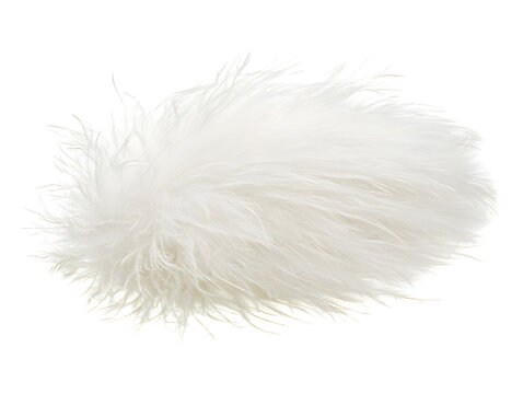 Warm and Cozy Soft White Feather Texture Against Plain Background for Elegant Minimalist Branding and Design