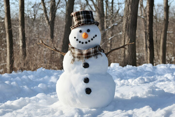 Obraz premium A cheerful snowman standing proudly in a snowy winter landscape, capturing the festive spirit of the season