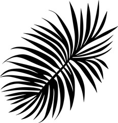 Black silhouette tropical vector icon revealing delicate exotic fern leaf palm veining, contrasting sharply against pristine white background