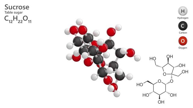 Sucrose. Disaccharide. Table sugar. Animated 3D model of a molecule. Molecular formula: C12H22O11. Chemical model: Ball and stick. White background. 3D rendering. Seamless loop.