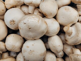 mushrooms on a market stall