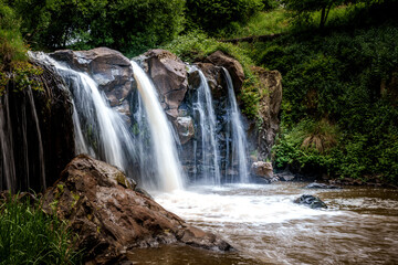 Obraz premium Serene Waterfall Amidst Lush Greenery