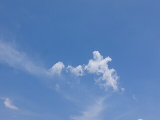 Clouds billow across the brilliant blue summer sky like cotton tufts, billowing, puffy, soft, the sky is bright blue and the clouds are white. The sky during the day has pure white clouds like cotton