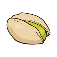 Pistachio nut, vector hand-drawn illustration