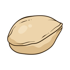 Pistachio nut, vector hand-drawn illustration