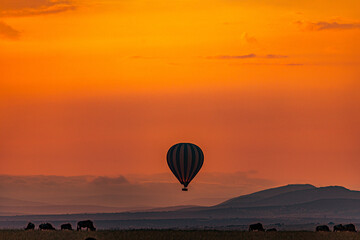 Obraz premium hot air balloon at sunset