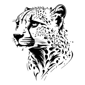 black and white cheetah head illustration with detailed spots and artistic style