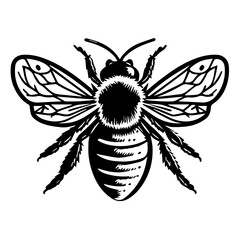 hand-drawn bee illustration with detailed wings and body design
