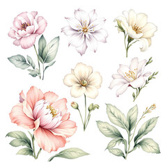 Flower Ephemera Clipart, Roses Fussy Cut, Printable Watercolor clipart, Watercolor Floral clipart