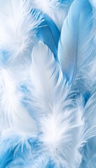 Fototapeta premium Abstract background, soft blue and white layered feathers. Close-up texture, with copy space