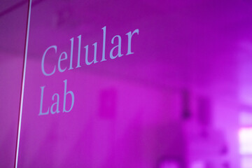 Cellular lab entrance with purple light reflecting on glass