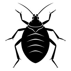 Bedbug silhouette vector illustration