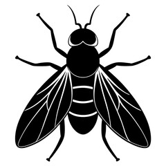 Black fly silhouette vector illustration