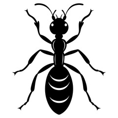 Fire Ant beetle silhouette vector illustration