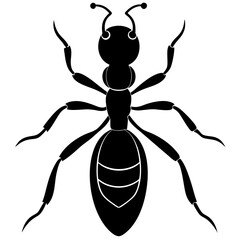  Fire Ant beetle silhouette vector illustration