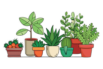 Obraz premium Variety of potted indoor plants with lush green leaves arranged aesthetically, perfect for air purification and decoration