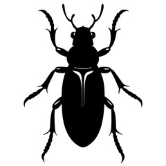 Ground beetle silhouette vector illustration