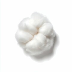 Cotton Plant Farm Field Close-up Image Natural Environment Top-down View Agriculture Concept