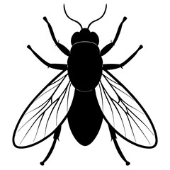 Hoverfly silhouette vector illustration 