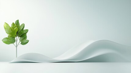 Fototapeta premium A tree is growing in front of a white wall