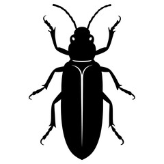 Powder post beetle silhouette vector illustration