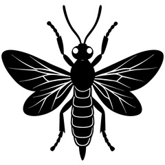 Sawfly silhouette vector illustration