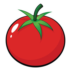 tomato illustration
