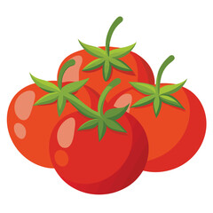 tomatoes on a white background
