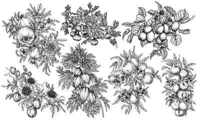 Vector set of 7 branches of tropical fruits. Pomegranate, passion fruit, papaya, fig, kiwi, tangerine, orange. Organic farm. Growing exotic fruits. Illustration for grocery and fruit stores