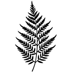 fern leaves silhouettes vector illustration transparent background