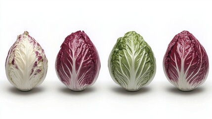 Colorful Collection of Fresh Cabbage Varieties on White Background