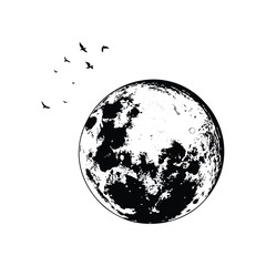 full moon isolated vector illustration