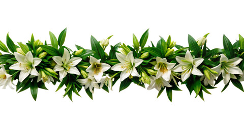 Garland of white lilies with green leaves without background. The flowers are fresh and in full bloom, creating a beautiful and elegant arrangement.