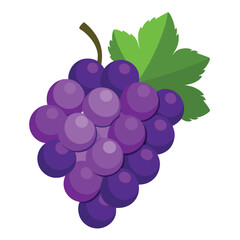 bunch of grapes isolated on white background