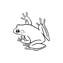 a line art drawing of a frog illustration