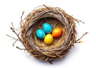 Obraz premium Bird's Nest Top View, Isolated, Colorful, High-Resolution Photo