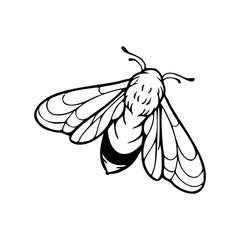 illustration of a bee