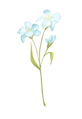 Abstract blue flowers, hand-painted in watercolor