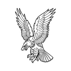 a detailed line art drawing of a eagle illustration