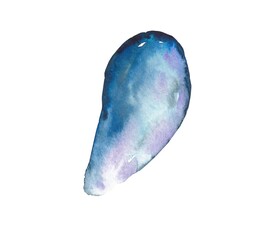 watercolor illustration of mussels and oysters on a white background