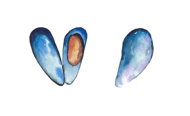 watercolor illustration of mussels and oysters on a white background