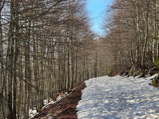 Early spring atmosphere and the last remnants of snow on the mountain road - Northern Velebit...