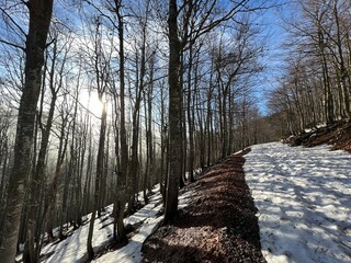 Early spring atmosphere and the last remnants of snow on the mountain road - Northern Velebit...